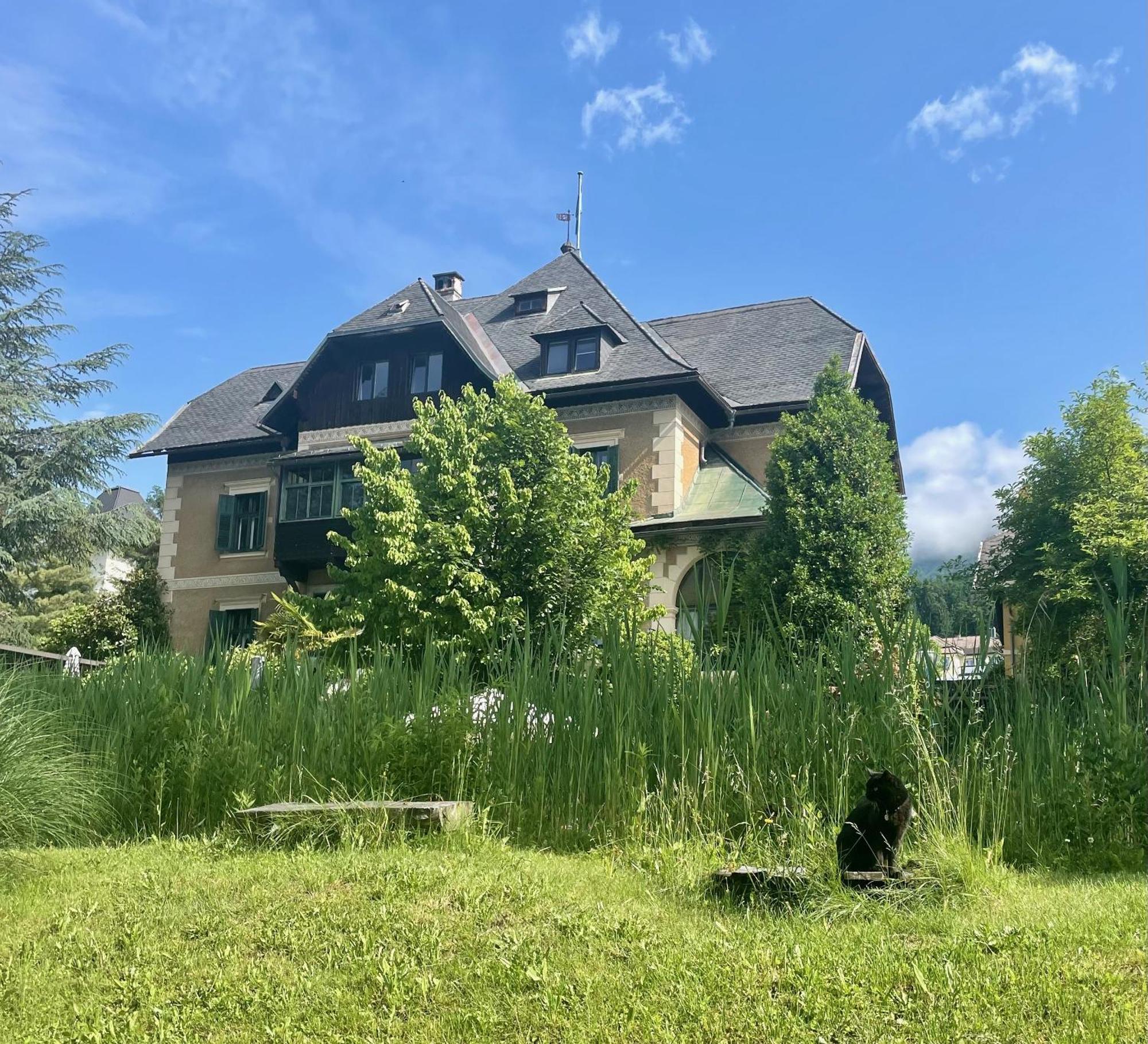 Villa Parkschloessl Милщат Екстериор снимка